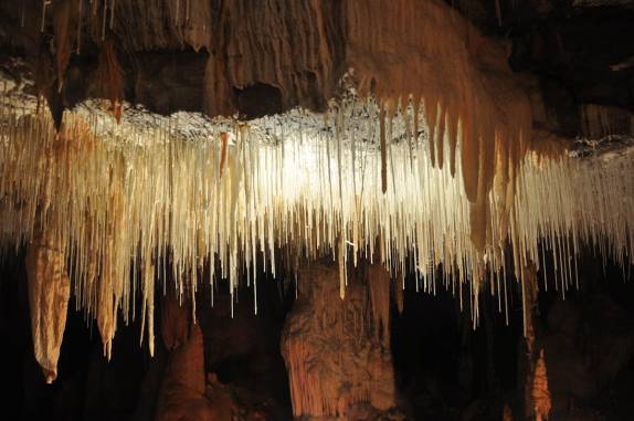 Teto com milhares de pequenos estalactites na caverna de São Mateus, no P. E. de Terra Ronca, região de São Domingos - GO